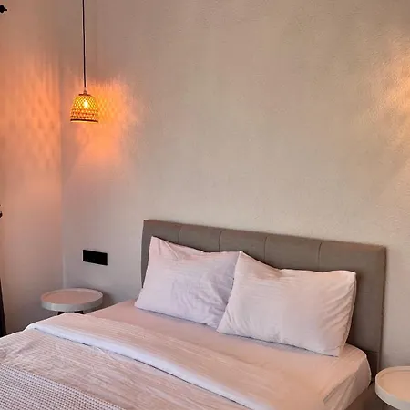 Root House Casa vacanze *