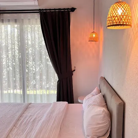 Casa vacanze Root House *