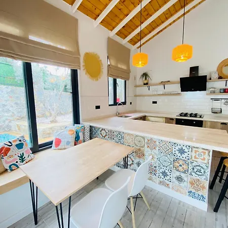 Casa vacanze Root House