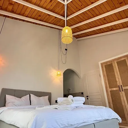 Root House 度假居 费特希耶